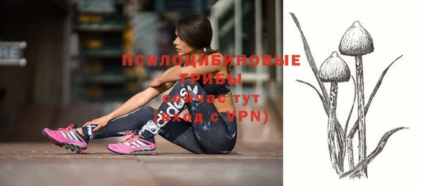 спайс Аркадак