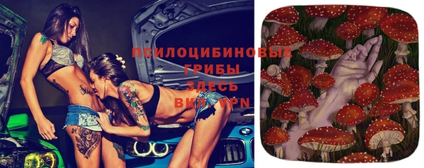 спайс Аркадак